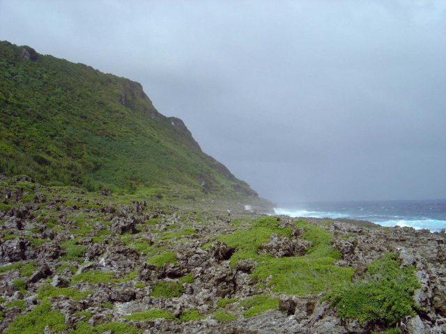 Eroded coral rock on the coast of Guam. Picture
