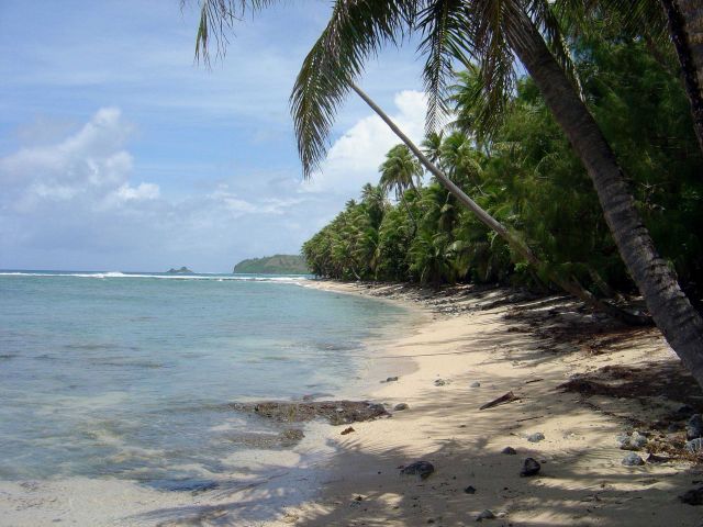 A palm-lined jungle coastline on Guam. Picture