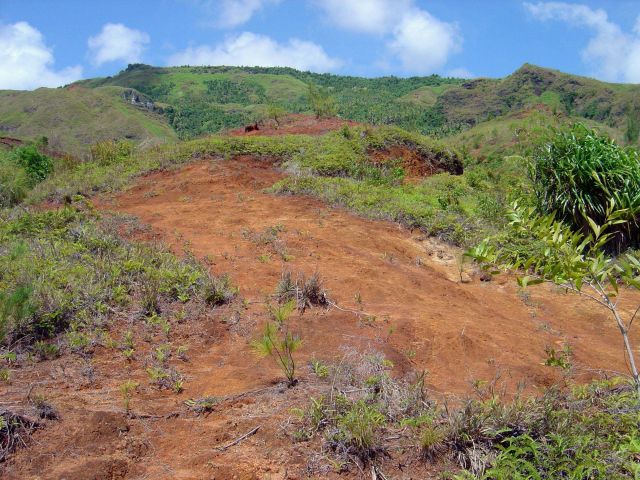 Red lateritic soil in the mountains of Guam, a characteristic of volcanic erosion. Picture