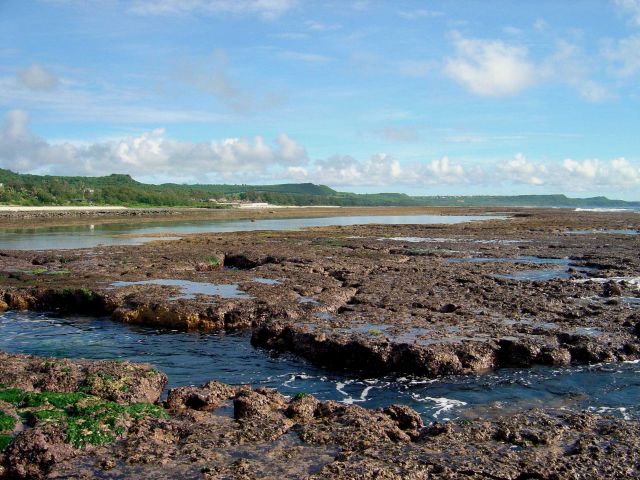 Uncovered reef flat with intervening channels at low tide on the Guam coastline. Picture