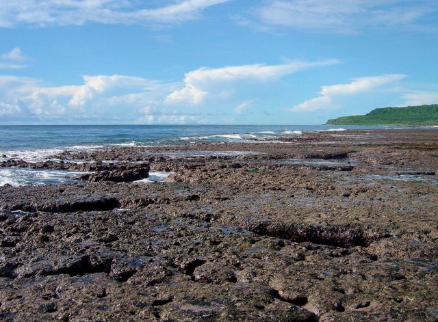 Uncovered reef flat with intervening channels at low tide on the Guam coastline. Picture