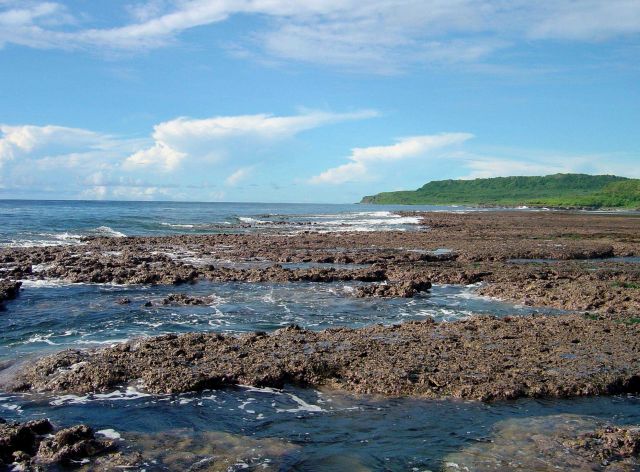 Uncovered reef flat with intervening channels at low tide on the Guam coastline. Picture