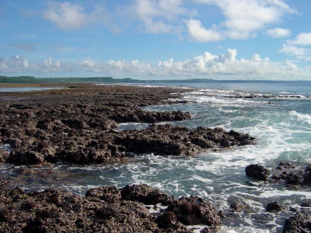 Uncovered reef flat with intervening channels at low tide on the Guam coastline. Picture