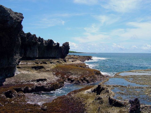 Uncovered reef flat with intervening channels at low tide on the Guam coastline. Picture