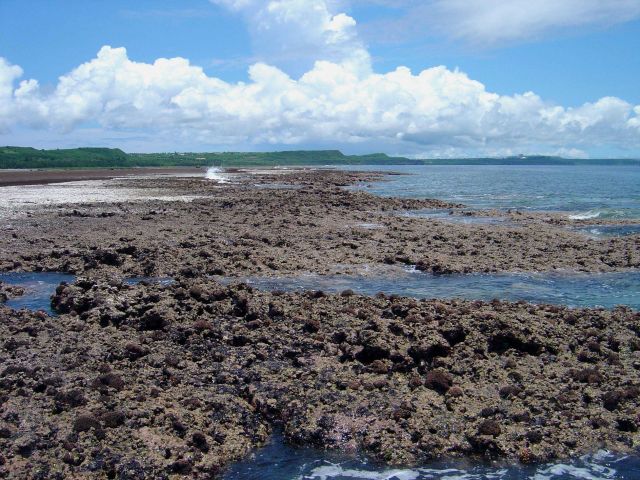 Uncovered reef flat with intervening channels at low tide on the Guam coastline. Picture