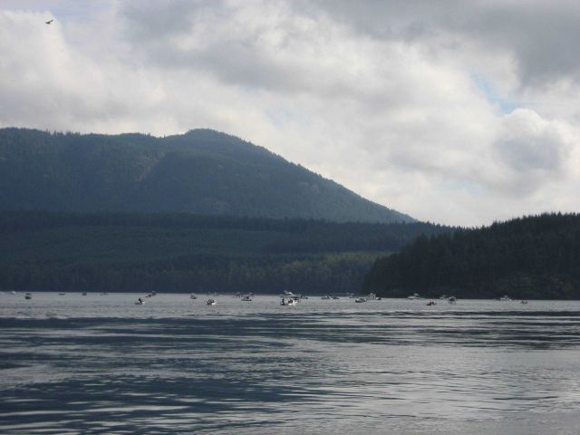 Salmon fishing along the Inside Passage. Picture