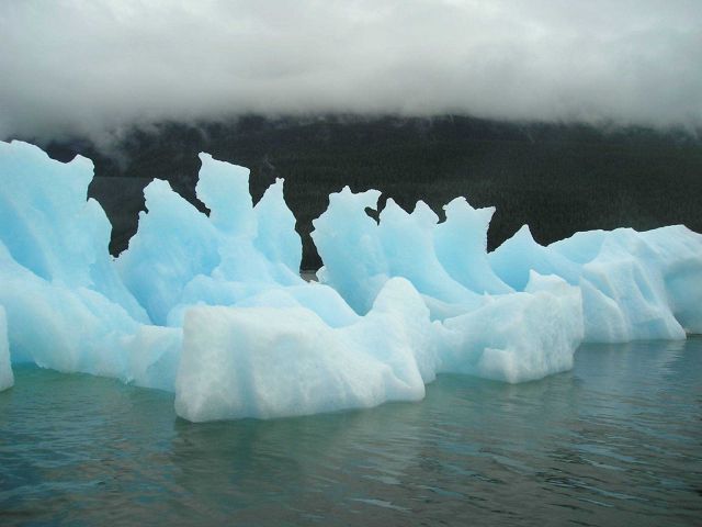 An iceberg floating out of Tracy Arm Picture