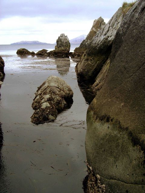 Tide pool with gray skies at Unalaska Island. Picture