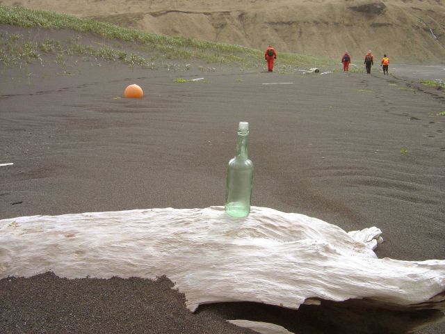 Bottle found during beach debris survey. Picture
