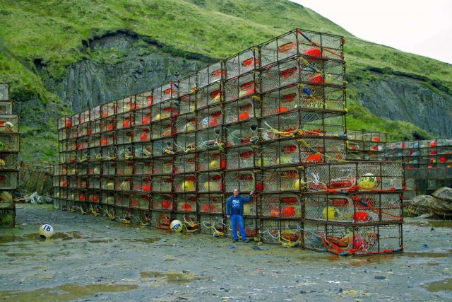 King crab pots stored till the crabbing season in Kodiak Picture