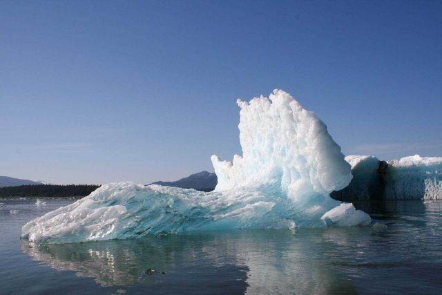 Small iceberg from the LeConte Glacier. Picture