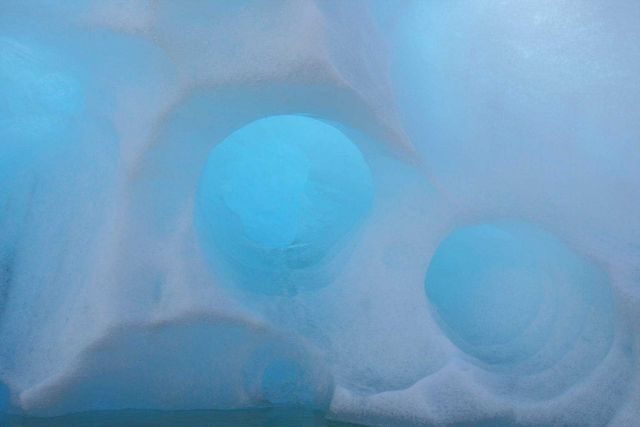 Circular melt patterns in ice calved from the LeConte Glacier. Picture