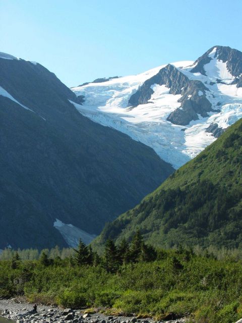 Mountains, ice, and evergreens. Picture