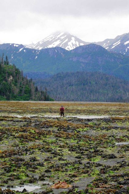 CCFHR researcher Carolyn Currin investigates China Poot at low tide. Picture