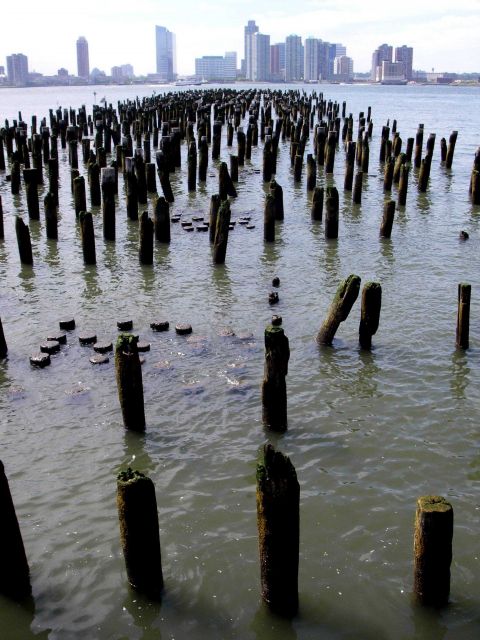 Rotting pilings, apparent remains of a once-bustling dock. Picture