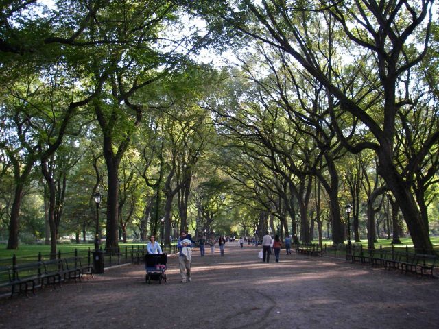 Central Park on an early fall afternoon. Picture