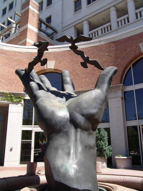The 