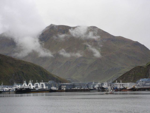 Part of the fishing fleet that works out of Dutch Harbor. Picture