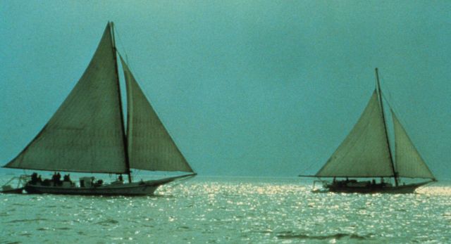 Chesapeake Bay skipjacks working on the Bay late in the afternoon. Picture