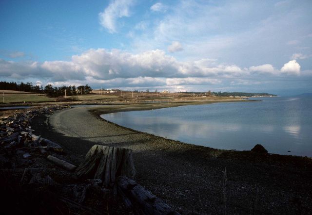 A scene along the Washington coast. Picture
