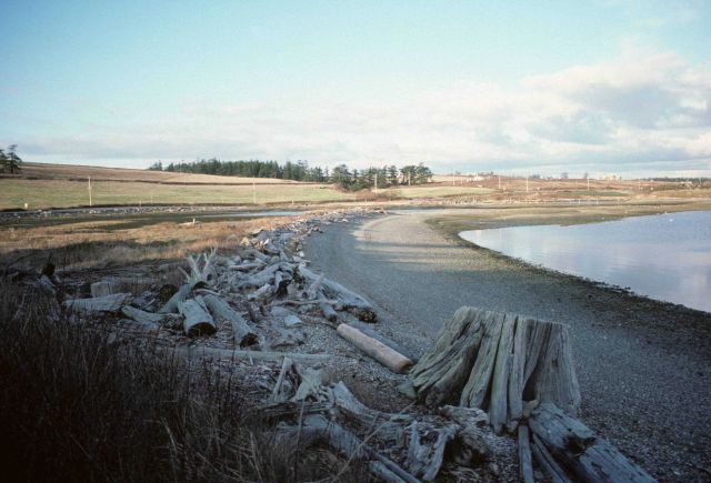 A scene along the Washington coast. Picture