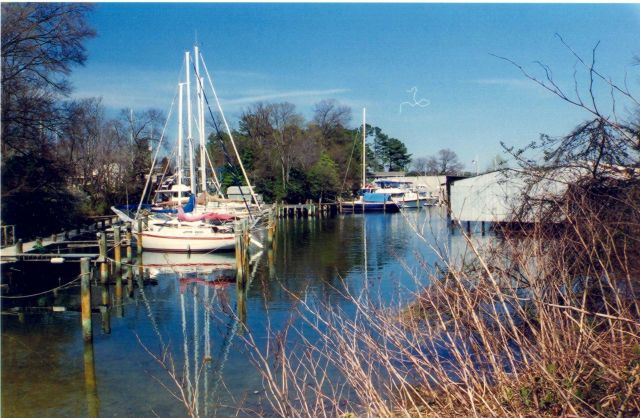 The harbor at Solomons Island. Picture