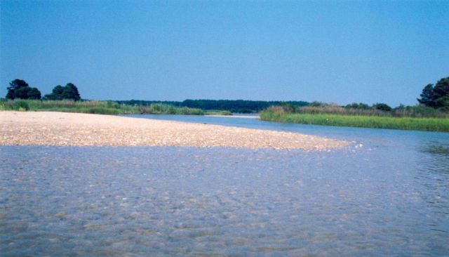 A sandbar and various grasses protect the entrance to a creek entering the Potomac River. Picture