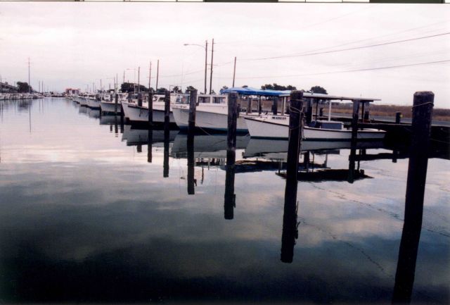 Commercial Chesapeake workboats docked on still day. Picture
