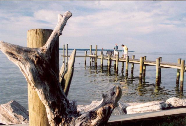 Driftwood and a Patuxent River pier. Picture