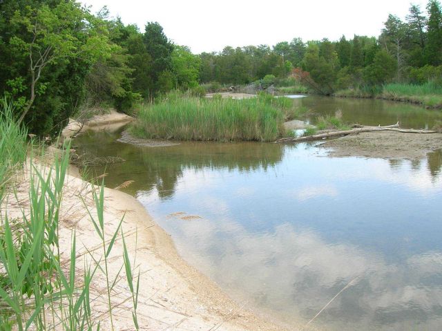 A tidal creek along the Patuxent River. Picture
