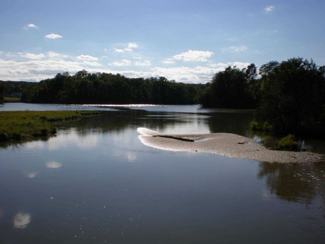 A late summer bright sunny day over a tidal pond along the Patuxent River. Picture