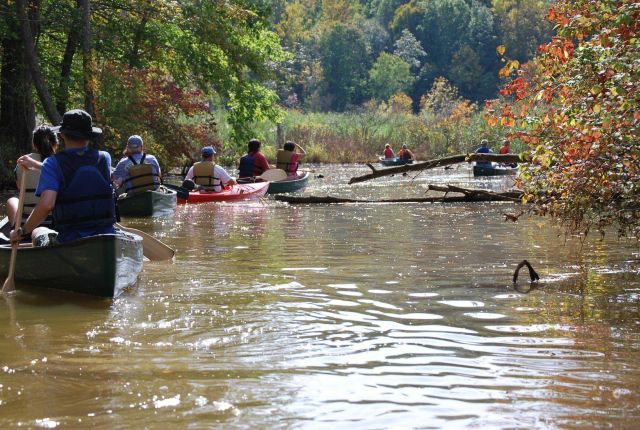 Hardwood reaches along the tidal Parkers Creek Picture