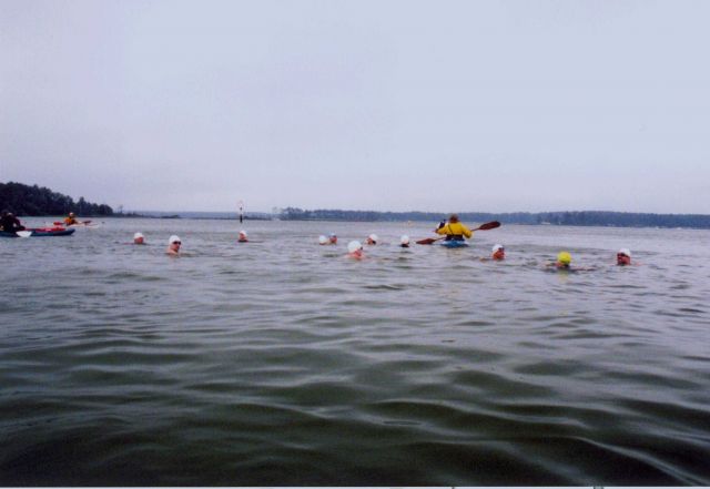 A family of sea otters in the Potomac River Picture