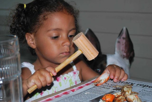 Even toddlers can pick blue crabs. Picture
