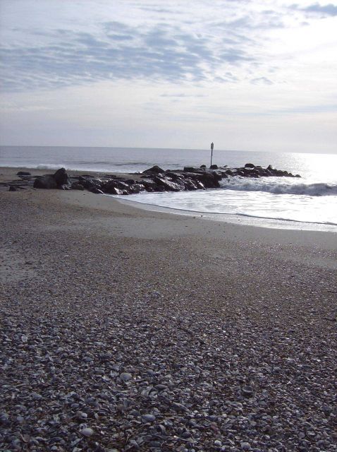 Groin constructed of rocks stopping longshore flow of sand Picture