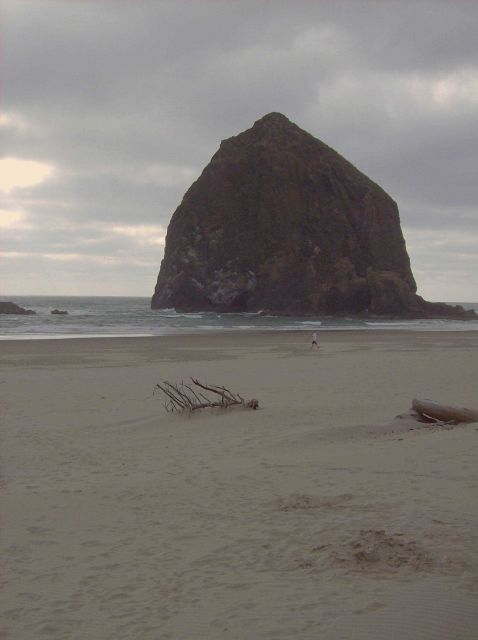 Haystack Rock at Cannon Beach. Picture