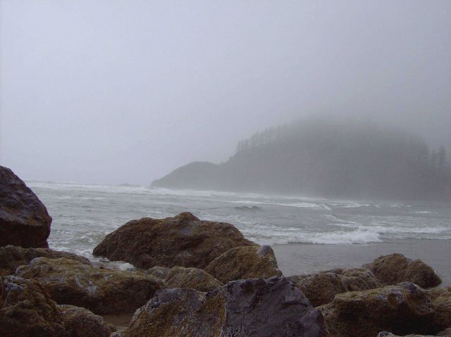 Rocks, surf, fog, seaweed, and fog-enshrouded headland at Ecola State Park. Picture