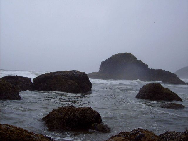 Rocks, surf, fog, seaweed, and tide pools at Ecola State Park. Picture