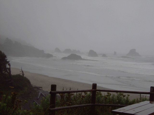 A lonely picnic table covered by mist and fog at Ecola State Park. Picture