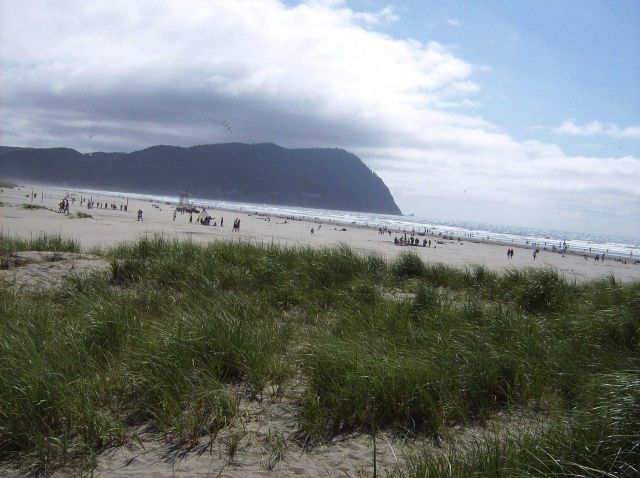 A cool day at a northern Oregon beach. Picture