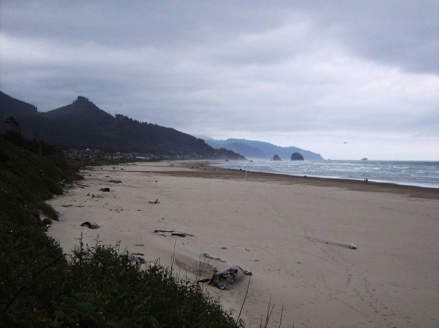 A cool day at a northern Oregon beach. Picture