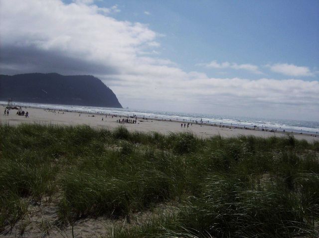 Looking over the dune line to a northern Oregon beach on a cool July day. Picture