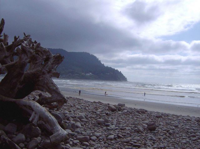 Driftwood, cobbles, surfers (crummy surf) and a beautiful headland at Seaside. Picture