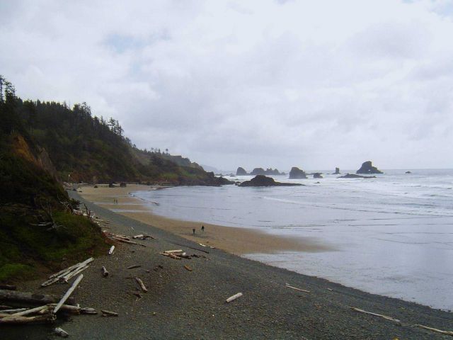 Northern Oregon coast Picture