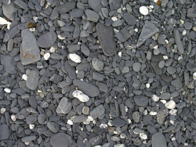 A cobble beach Picture