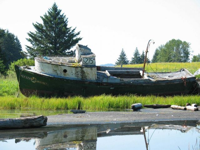 Derelict fishing vessel, the 