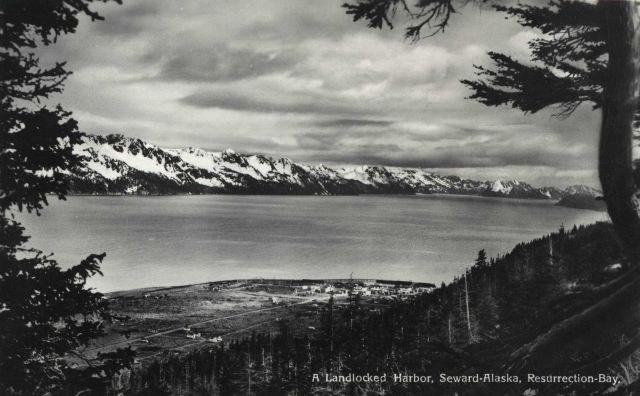 A view of Seward and Resurrection Bay Picture