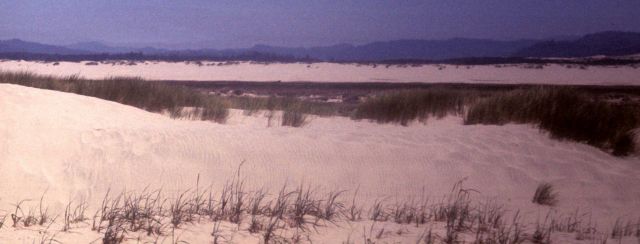 Sand dunes and mountains Picture