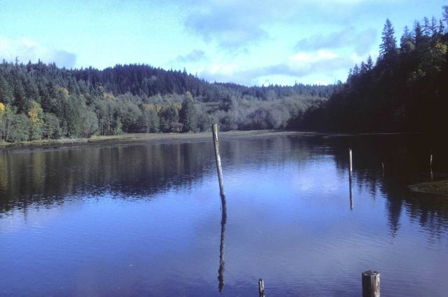 Tidal inlet Picture