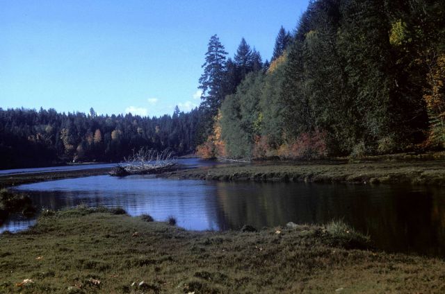 Tidal inlet in fall Picture